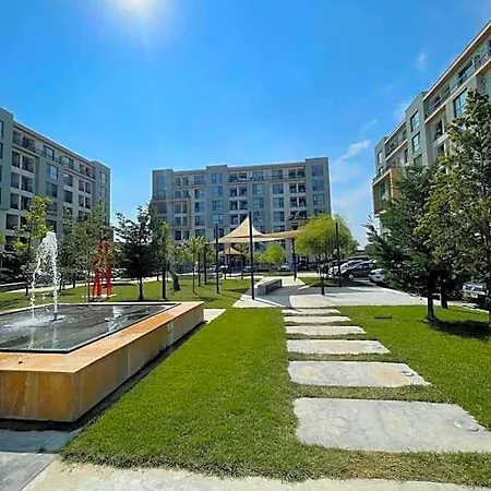 Onix Blue Mamaia Nord